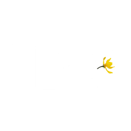 ÍLYS™ 